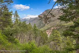 251 Chair Mountain Dr, Redstone, CO 81623 - Photo 39