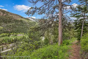 251 Chair Mountain Dr, Redstone, CO 81623 - Photo 41