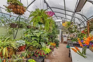 251 Chair Mountain Dr, Redstone, CO 81623 - Photo 47