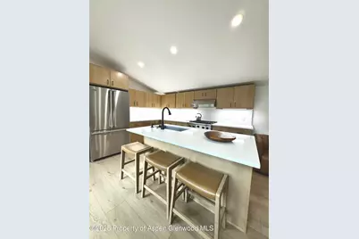 548.5 Spruce Street, Aspen, CO 81611 - Photo 9