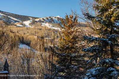 229 Faraway Road #28, Snowmass Village, CO 81615 - Photo 27
