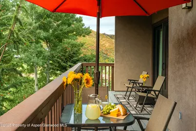 229 Faraway Road #28, Snowmass Village, CO 81615 - Photo 17