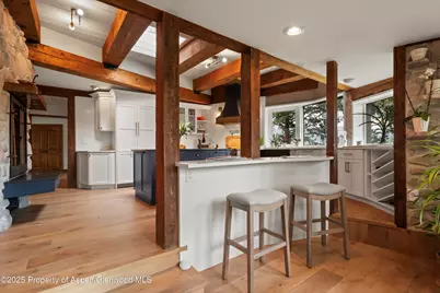 225 Solar Way, Aspen, CO 81611 - Photo 13