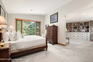 225 Solar Way, Aspen, CO 81611 - Photo 21