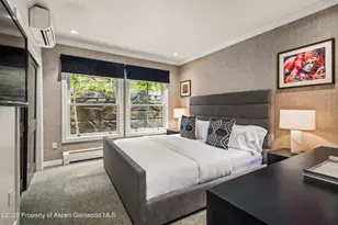 738 S Galena St, Aspen, CO 81611 - Photo 13