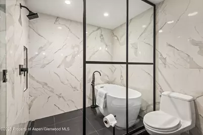 738 S Galena Street #1-C, Aspen, CO 81611 - Photo 15