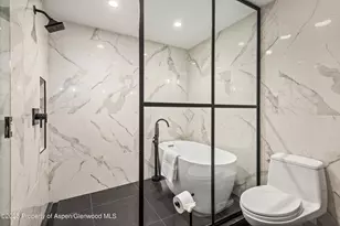 738 S Galena St, Aspen, CO 81611 - Photo 15