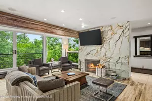 738 S Galena St, Aspen, CO 81611 - Photo 5