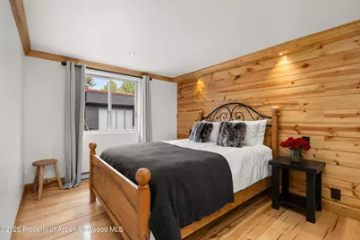 914 Waters Avenue #20, Aspen, CO 81611 - Photo 9