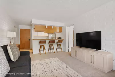 425 Vine Street #425, Aspen, CO 81611 - Photo 7