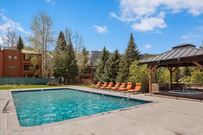 425 Vine Street #425, Aspen, CO 81611 - Photo 21