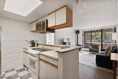 425 Vine Street #425, Aspen, CO 81611 - Photo 5