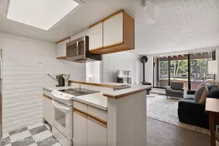 425 Vine St, Aspen, CO 81611 - Photo 5