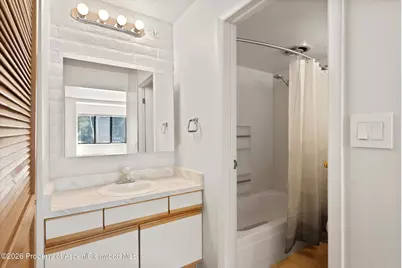 425 Vine Street #425, Aspen, CO 81611 - Photo 11