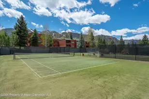 425 Vine St, Aspen, CO 81611 - Photo 23