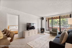 425 Vine St, Aspen, CO 81611 - Photo 1