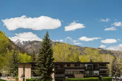 425 Vine Street #425, Aspen, CO 81611 - Photo 19