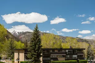 425 Vine St, Aspen, CO 81611 - Photo 19
