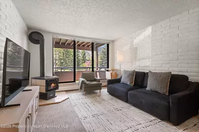 425 Vine Street #425, Aspen, CO 81611 - Photo 3