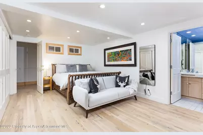 437 W Smuggler Street, Aspen, CO 81611 - Photo 19