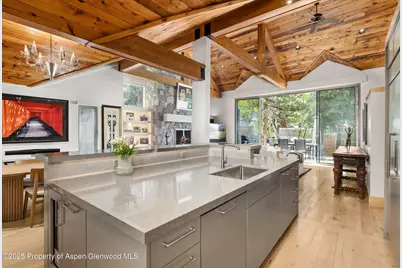 437 W Smuggler Street, Aspen, CO 81611 - Photo 9