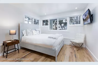 437 W Smuggler Street, Aspen, CO 81611 - Photo 23