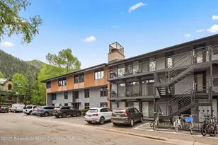 1039 E Cooper Ave, Aspen, CO 81611 - Photo 15