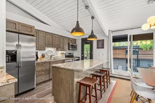 1039 E Cooper Ave, Aspen, CO 81611 - Photo 7