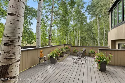 1443 Crystal Lake Road #3E, Aspen, CO 81611 - Photo 27