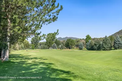 305 Surrey Street, Carbondale, CO 81623 - Photo 39