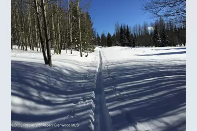 275 Aspen (Mountain Cabin) Drive, Walden, CO 80480 - Photo 7