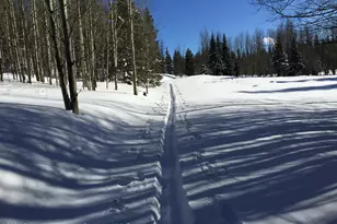 275 Aspen (Mountain Cabin) Dr, Walden, CO 80480 - Photo 7