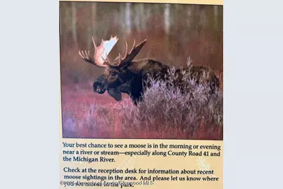 275 Aspen (Mountain Cabin) Drive, Walden, CO 80480 - Photo 43