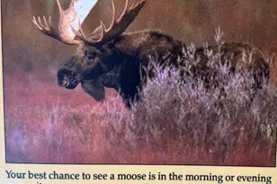 275 Aspen (Mountain Cabin) Dr, Walden, CO 80480 - Photo 43