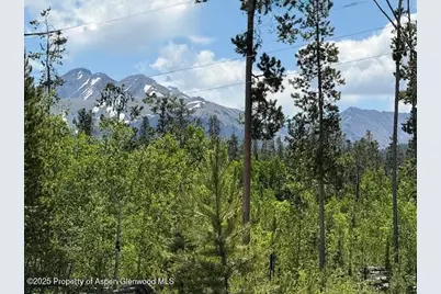 275 Aspen (Mountain Cabin) Drive, Walden, CO 80480 - Photo 3