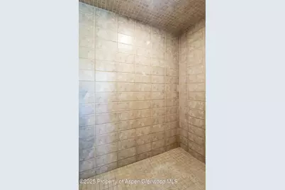 228 Midland Point Road, Carbondale, CO 81623 - Photo 23