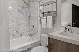 124 E Durant Ave, Aspen, CO 81611 - Photo 15