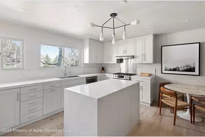 124 E Durant Avenue #7, Aspen, CO 81611 - Photo 3