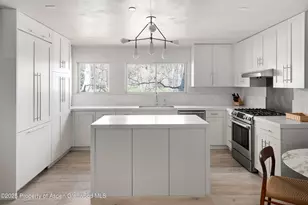 124 E Durant Ave, Aspen, CO 81611 - Photo 5