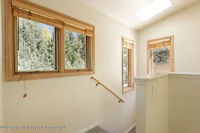 311 Midland Avenue, Aspen, CO 81611 - Photo 9