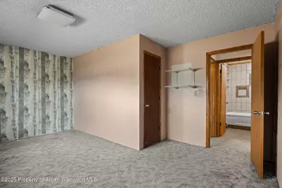 580 Will Avenue, Rifle, CO 81650 - Photo 9