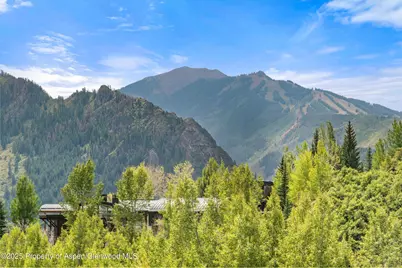 927 Red Mountain Road, Aspen, CO 81611 - Photo 29