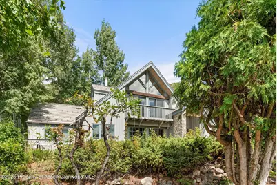 927 Red Mountain Road, Aspen, CO 81611 - Photo 35