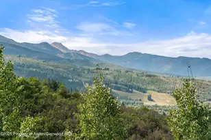 927 Red Mountain Rd, Aspen, CO 81611 - Photo 31