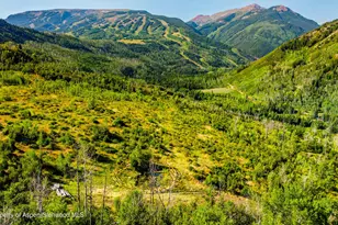 8500 & Tbd Snowmass Creek Rd, Snowmass, CO 81654 - Photo 13