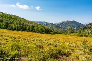 8500 & Tbd Snowmass Creek Rd, Snowmass, CO 81654 - Photo 7
