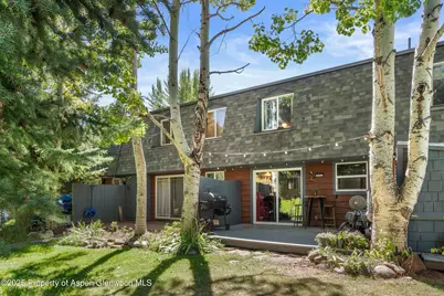 331 Holland Hills Road #Unit 5, Basalt, CO 81621 - Photo 15