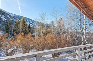 1215 Riverside Dr, Aspen, CO 81611 - Photo 19
