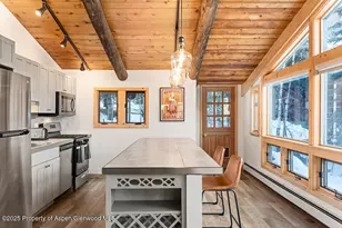 1215 Riverside Dr, Aspen, CO 81611 - Photo 3