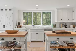 9555 Castle Creek Rd, Aspen, CO 81611 - Photo 11